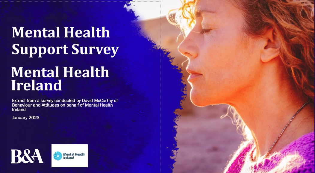Mental Health Support Survey January 2023
